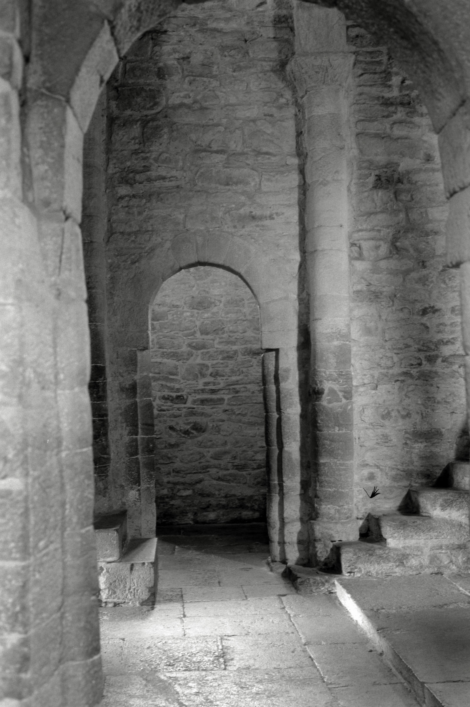 AHP F1995 05 010 sc240826 img22 NLP